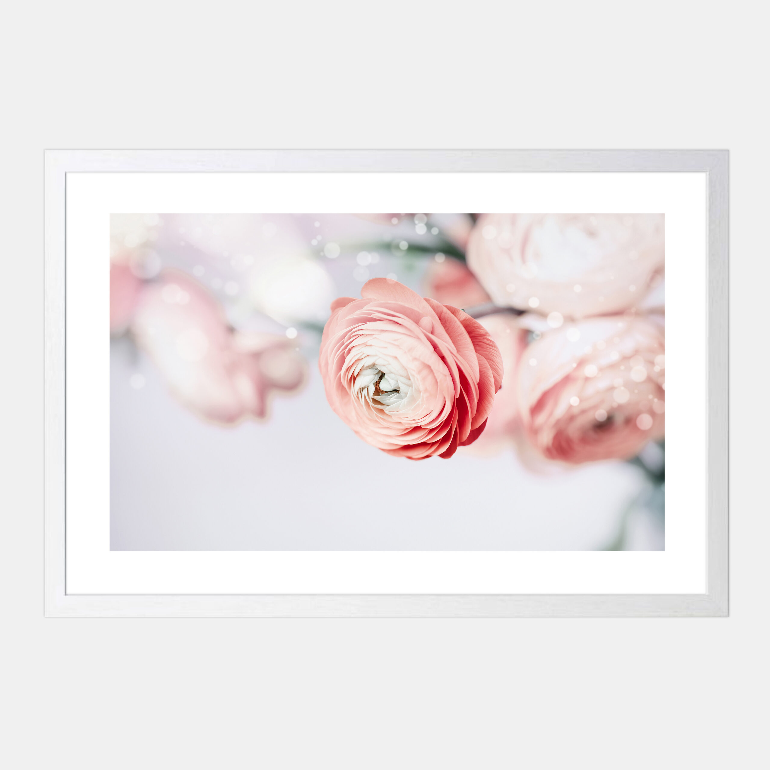 White 14 copy