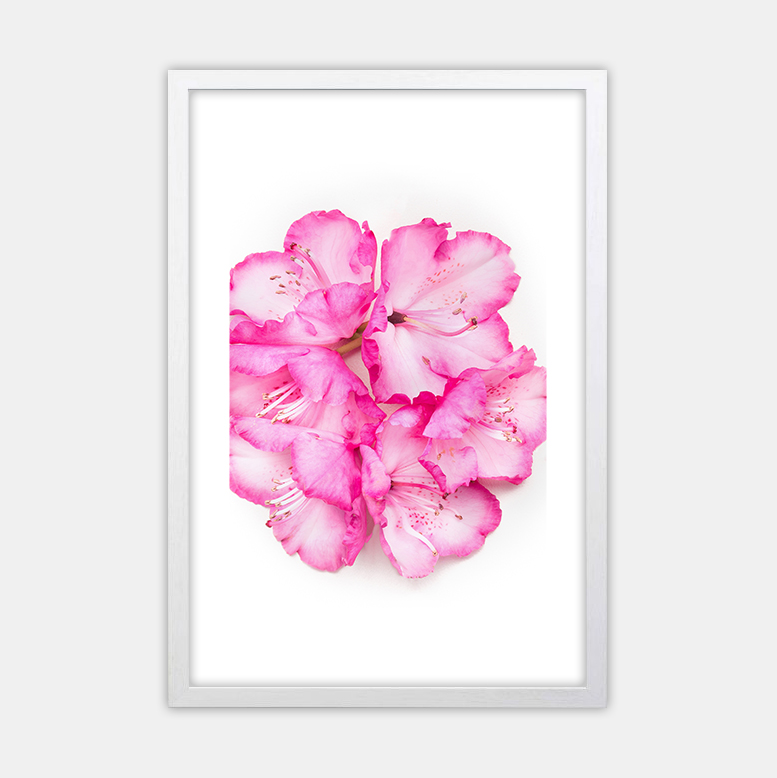 White 14 copy