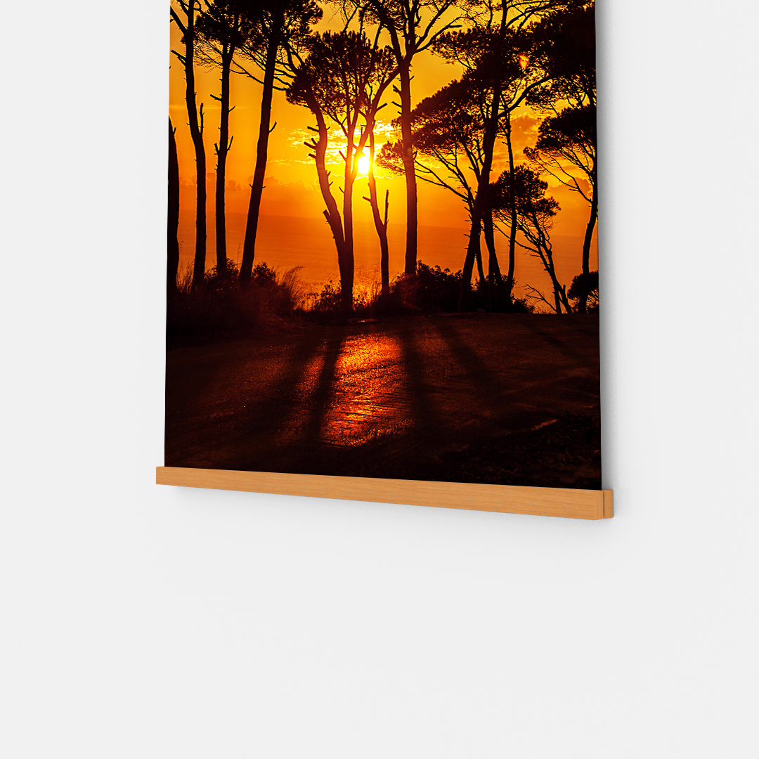 African Sun (2)
