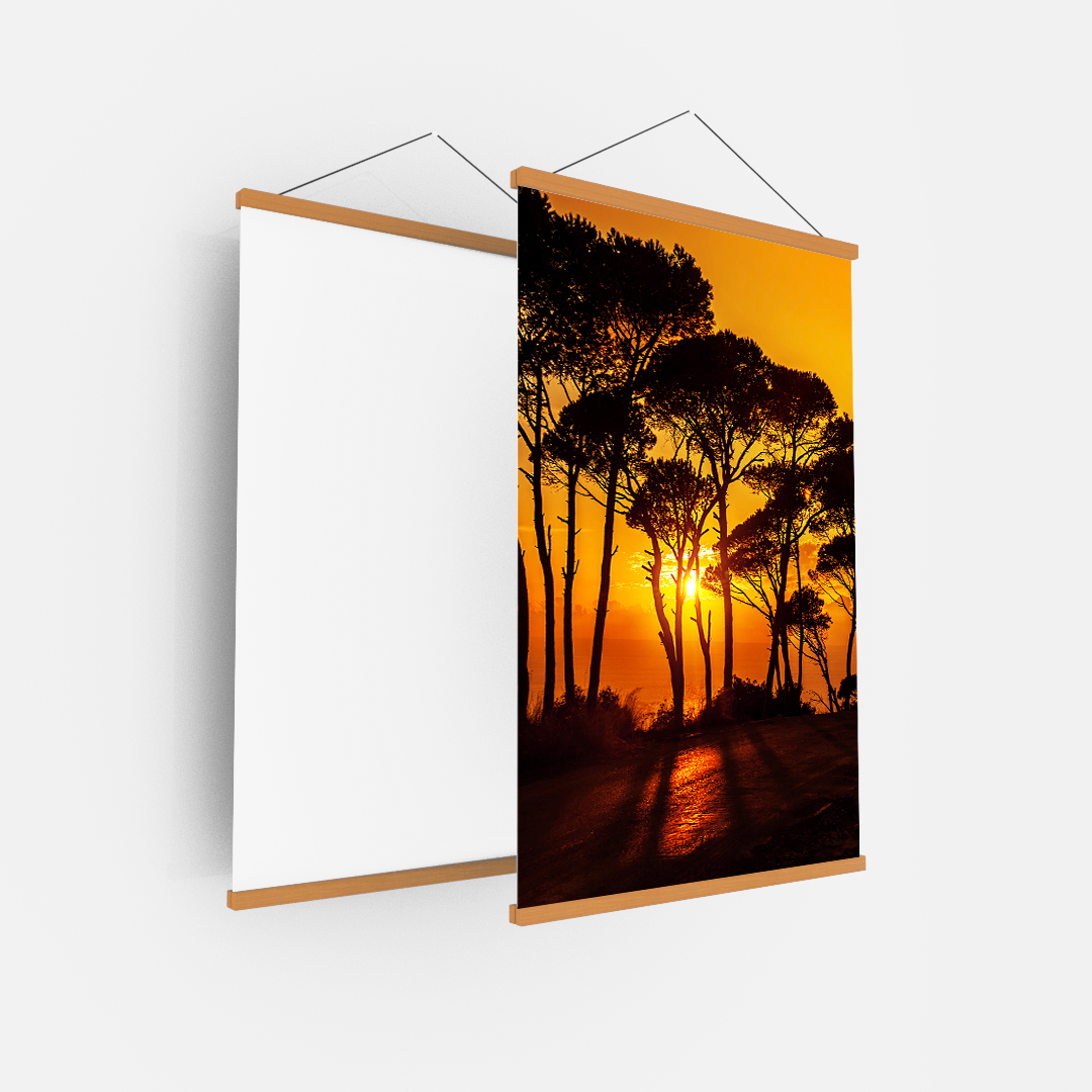 African Sun (3)