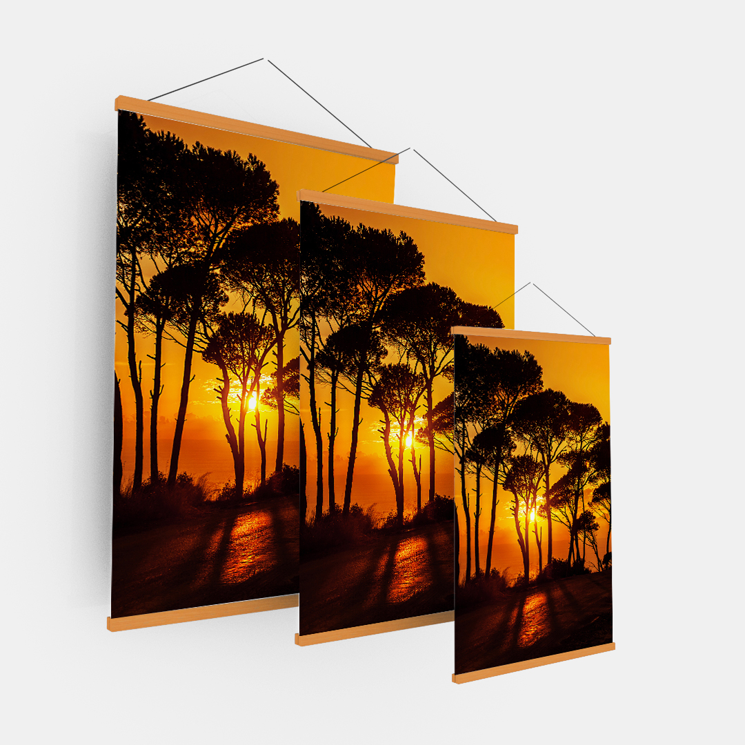 African Sun (4)