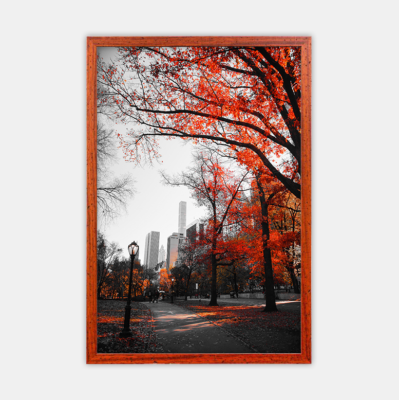 Herbst in der Stadt (10)