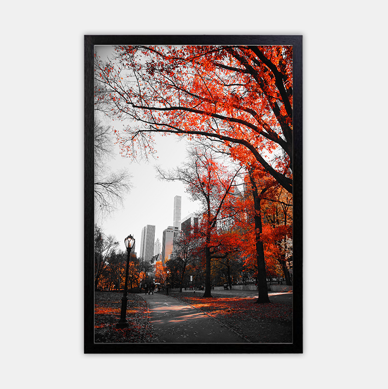 Herbst in der Stadt (11)