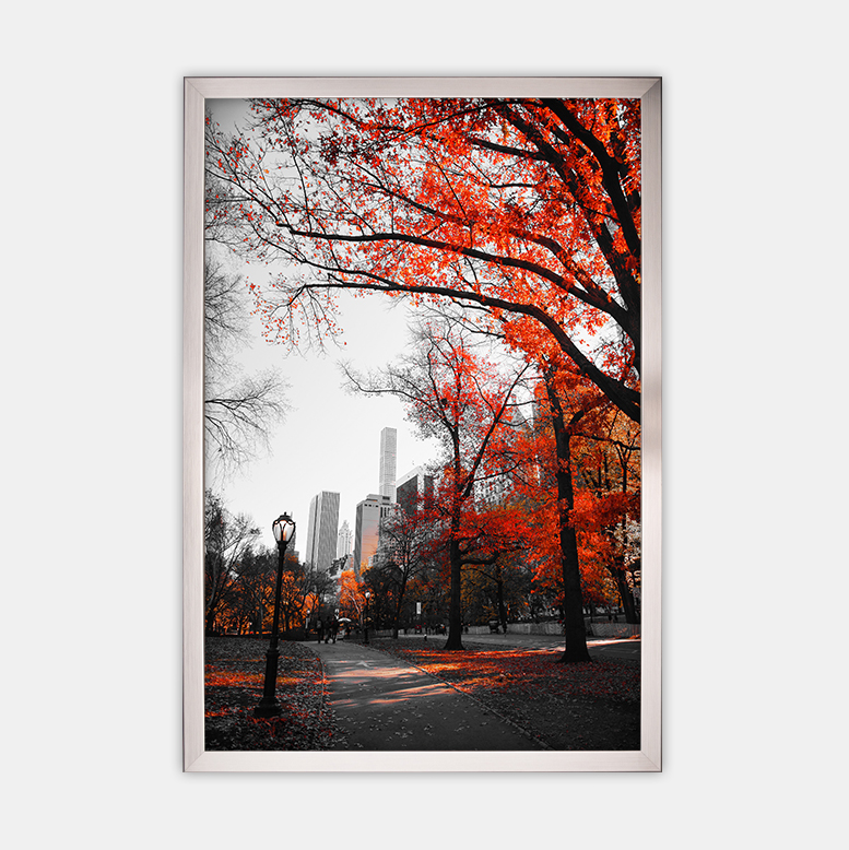 Herbst in der Stadt (2)