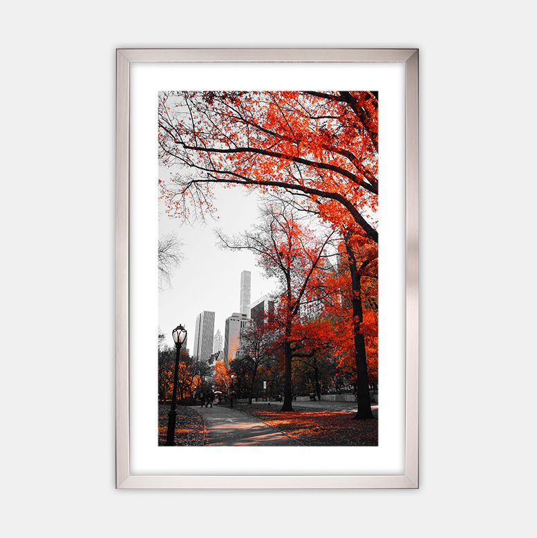 Herbst in der Stadt (3)