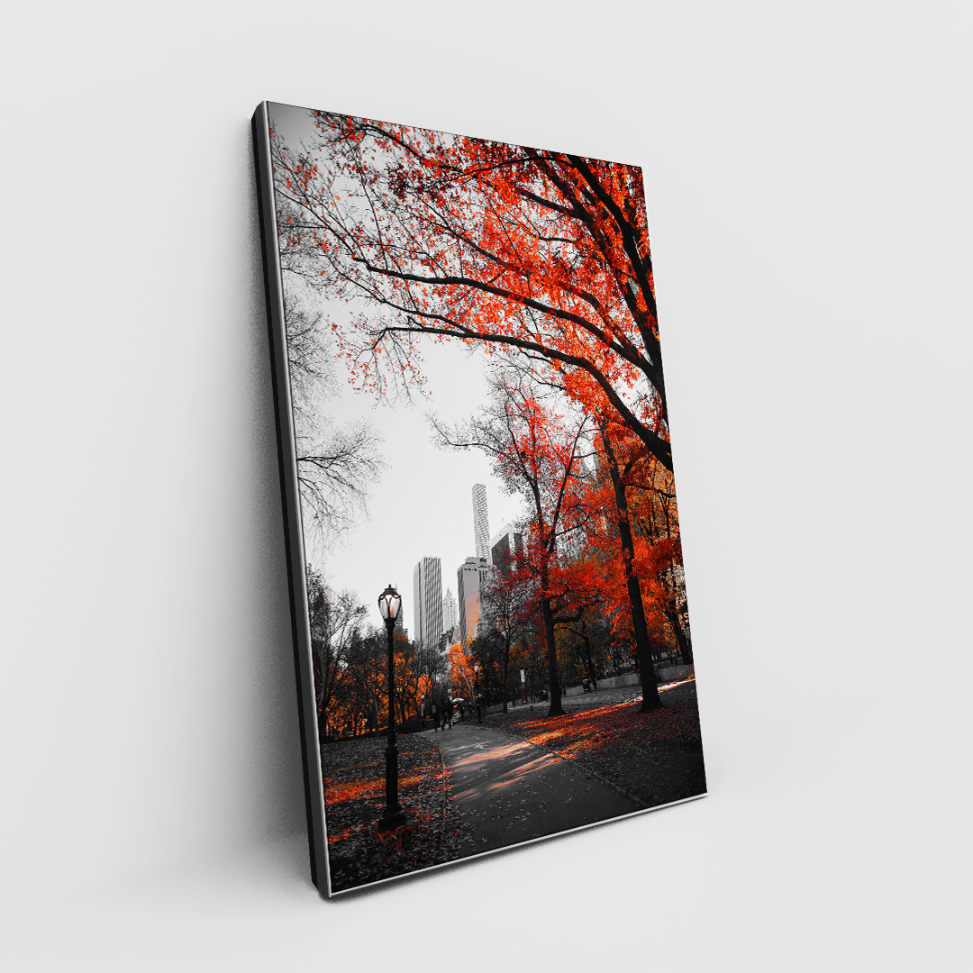 Herbst in der Stadt (4)