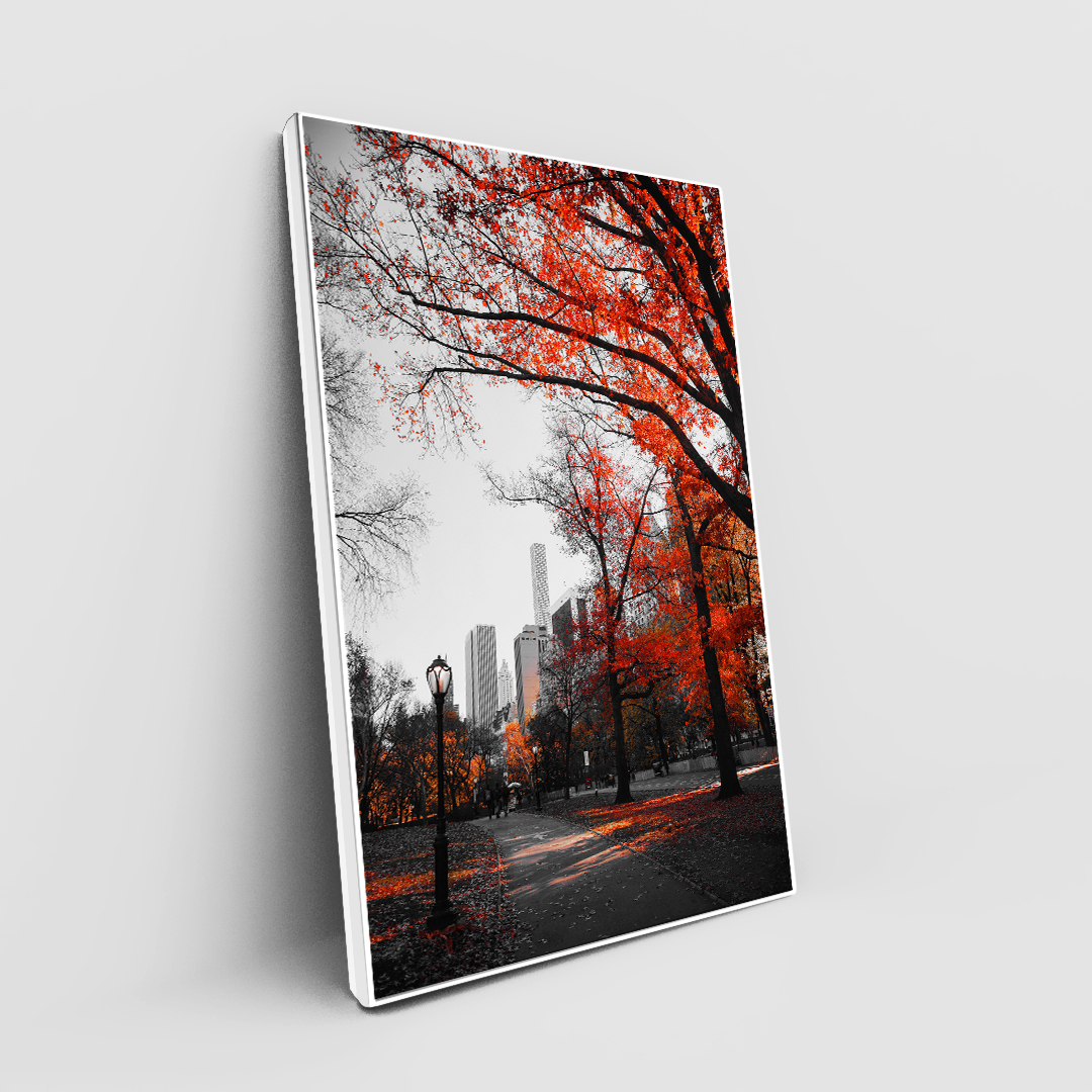 Herbst in der Stadt (4)