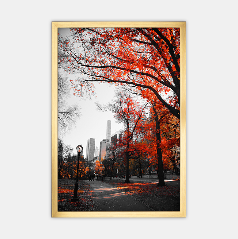 Herbst in der Stadt (6)