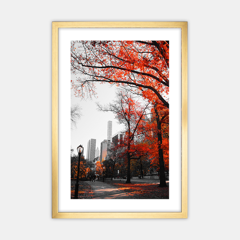 Herbst in der Stadt (7)