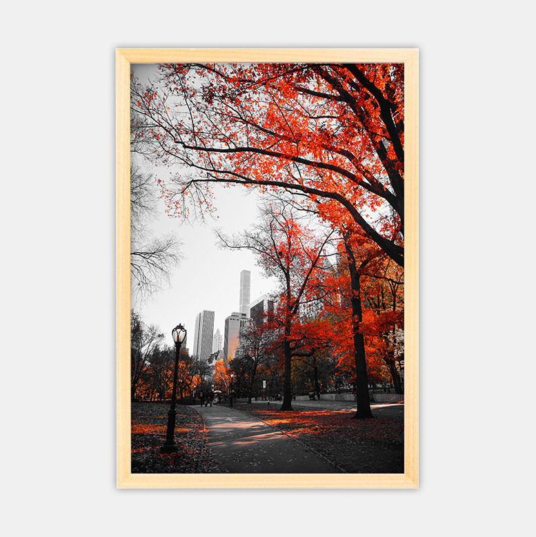 Herbst in der Stadt (9)