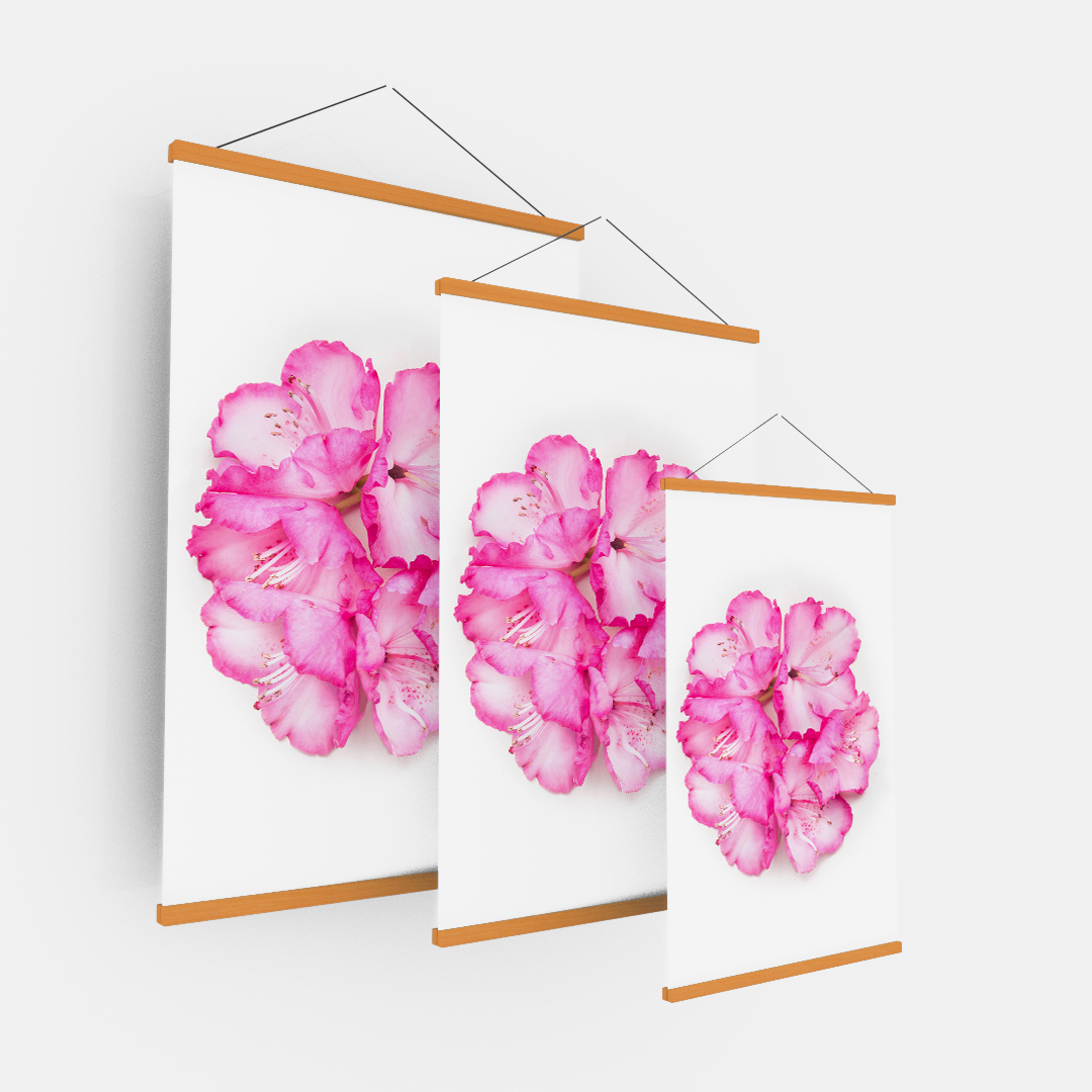 Pink Flower (1)