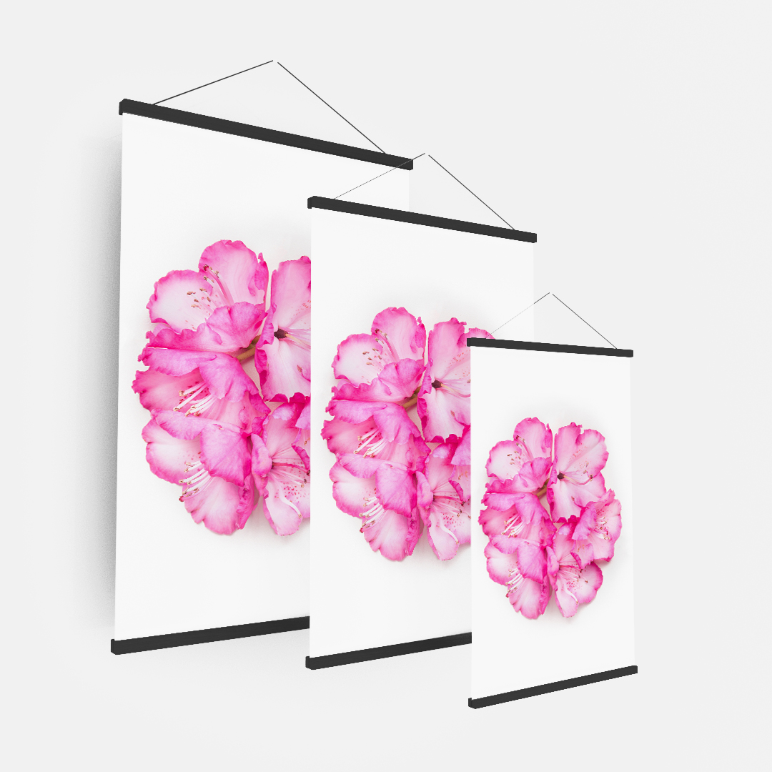 Pink Flower (1)