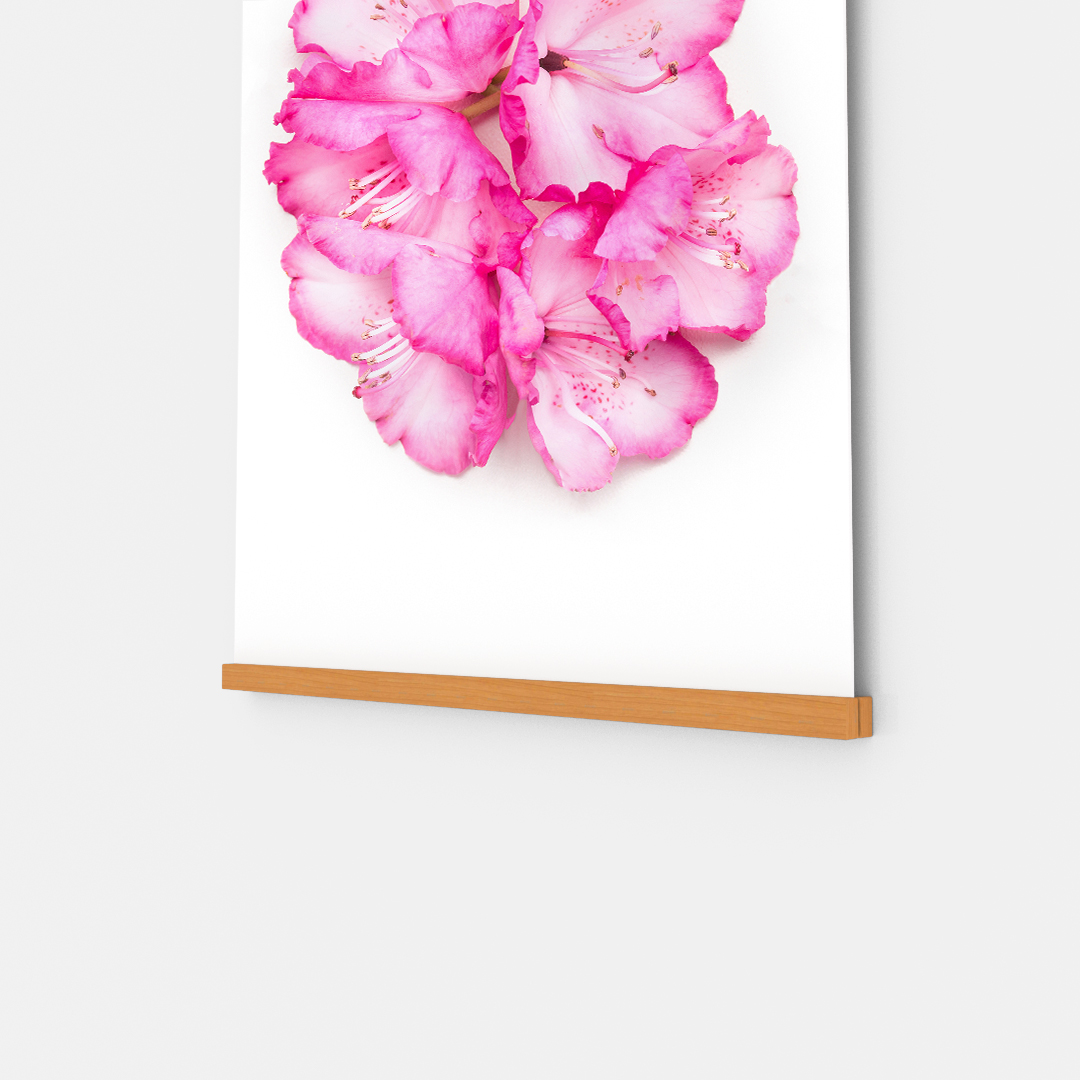 Pink Flower (3)