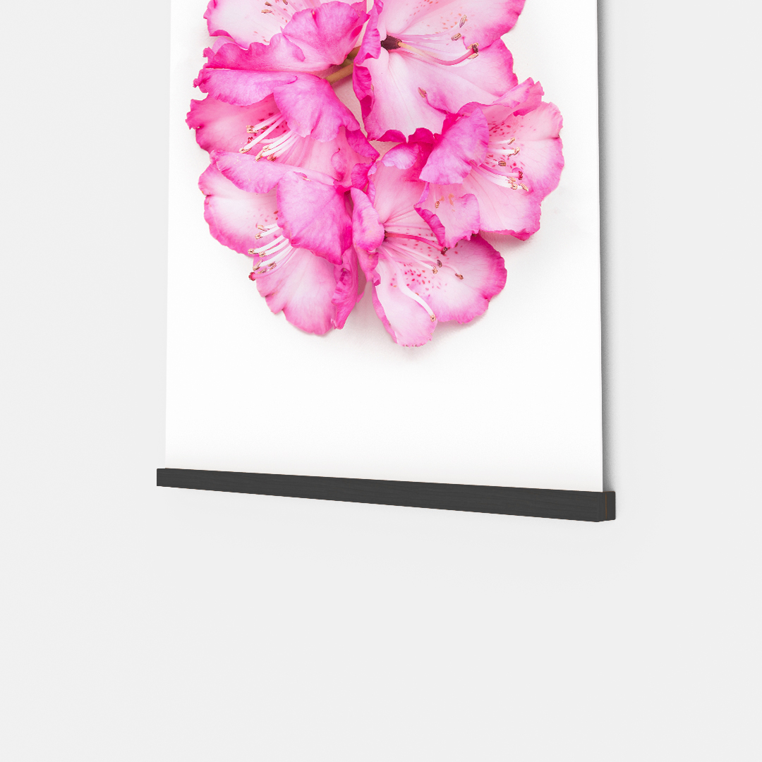 Pink Flower (3)