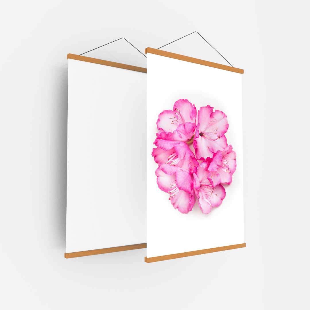 Pink Flower (4)