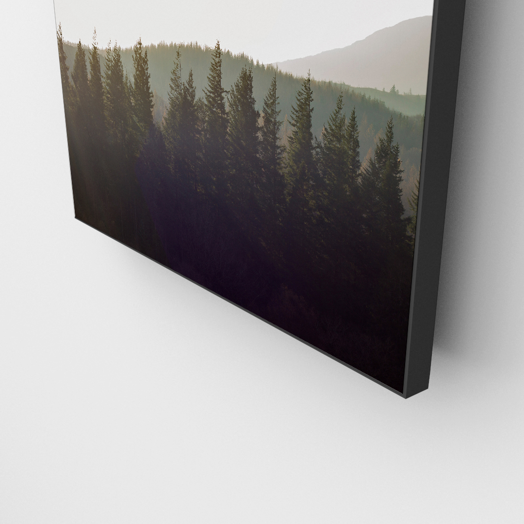Solid Green (1)