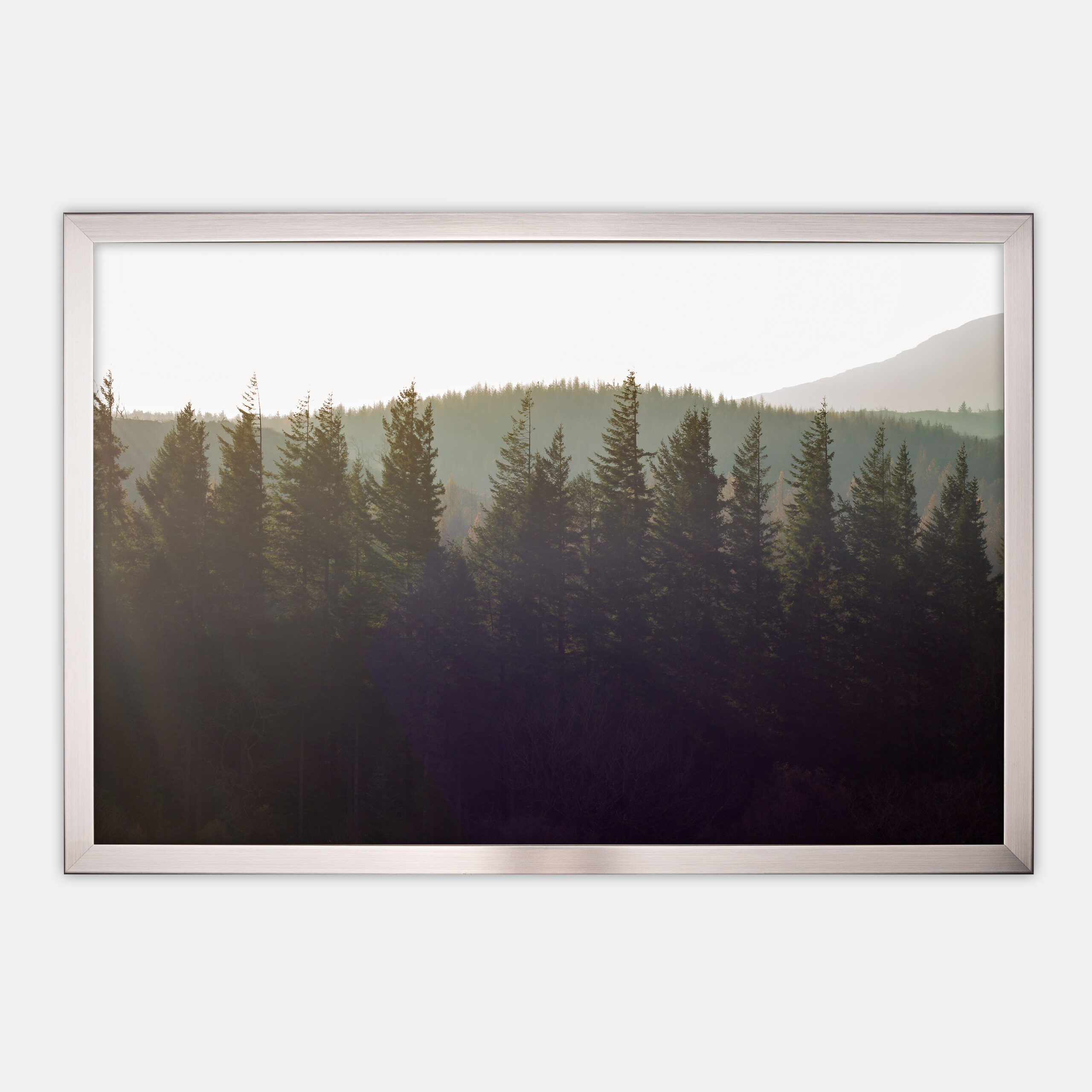 Solid Green (2)