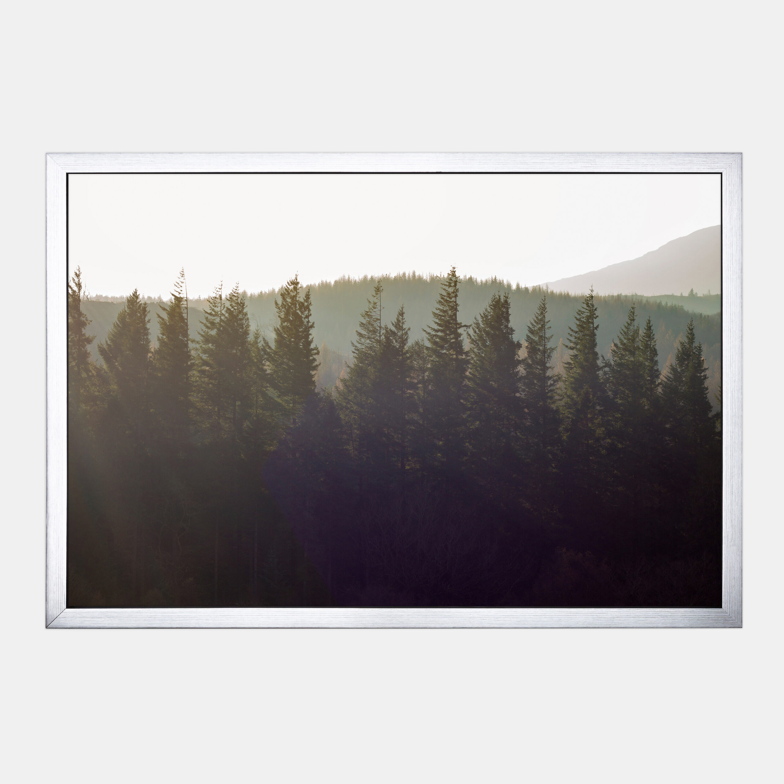 Solid Green (4)