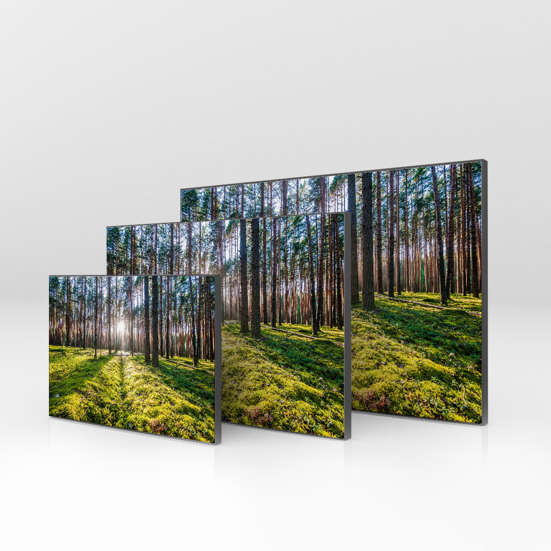 Sunlight Escape (2)