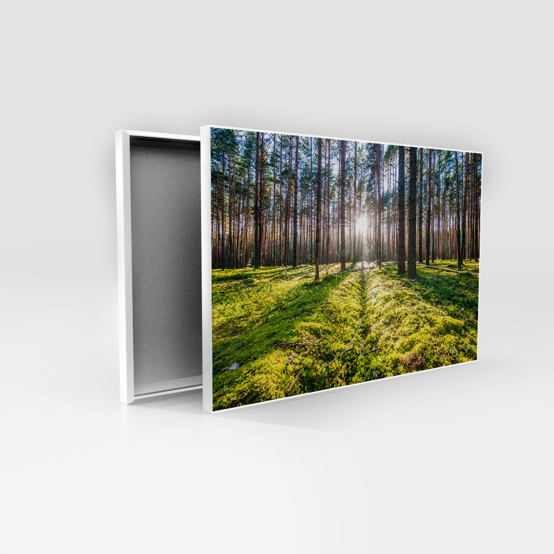 Sunlight Escape (2)