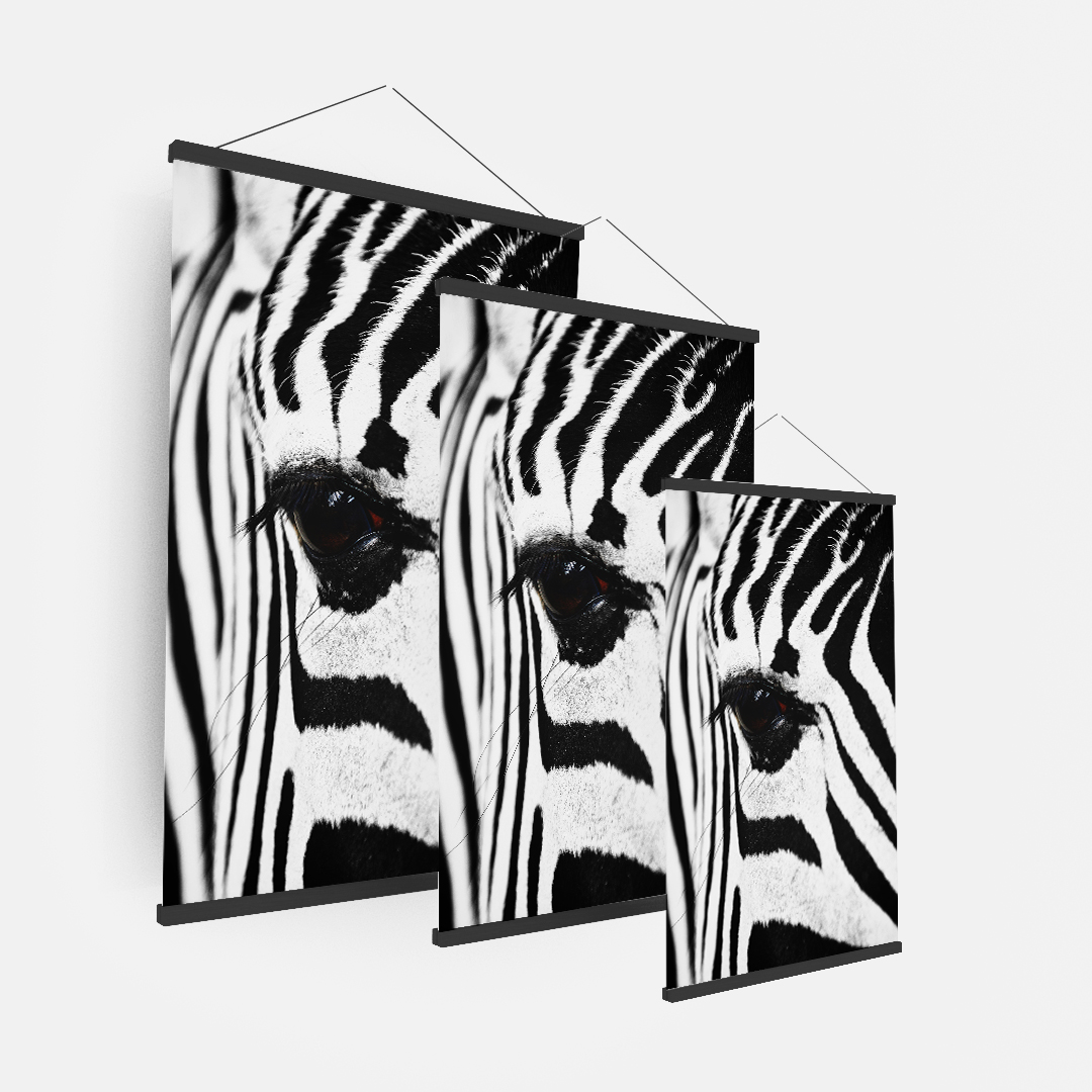 Zebra (1)