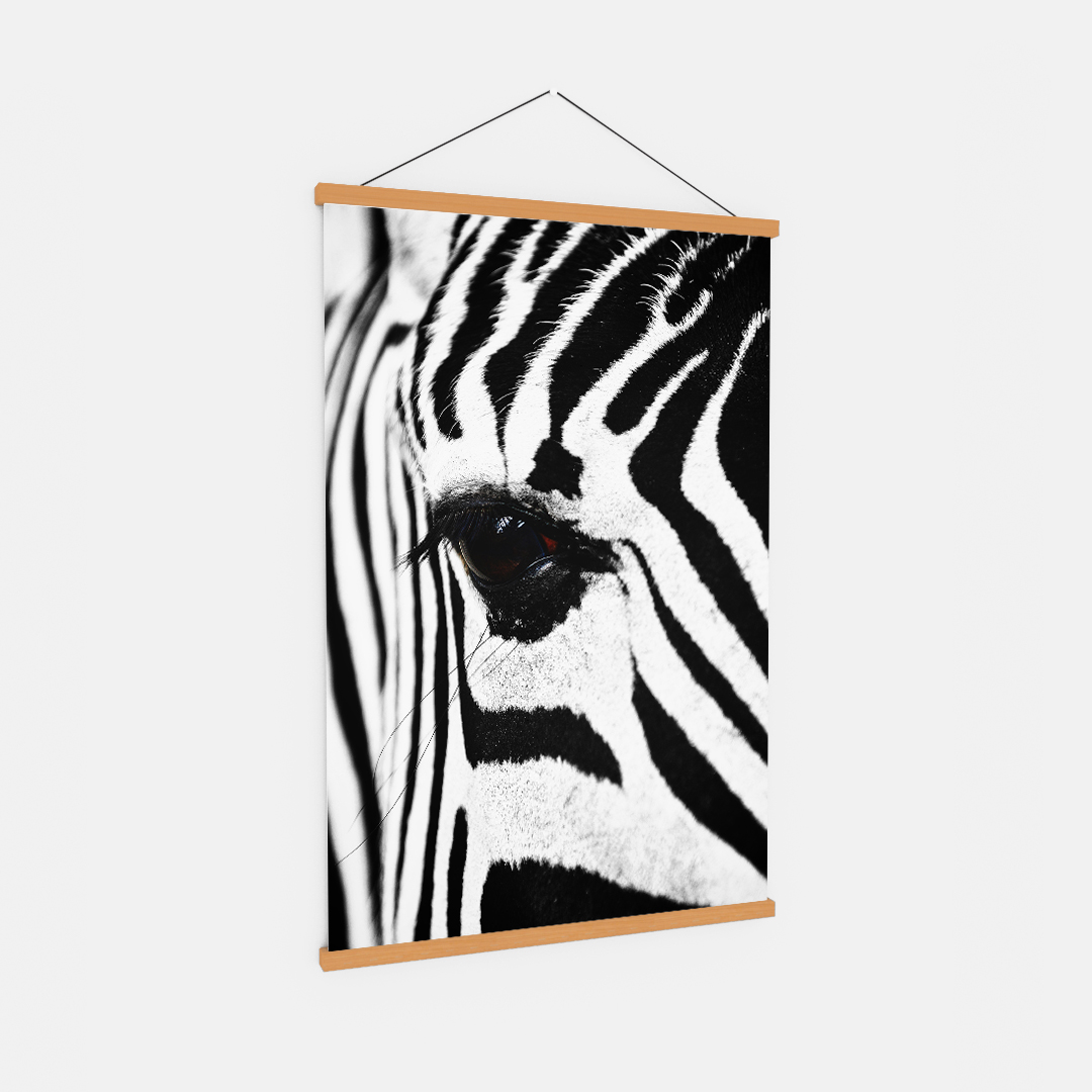 Zebra (2)