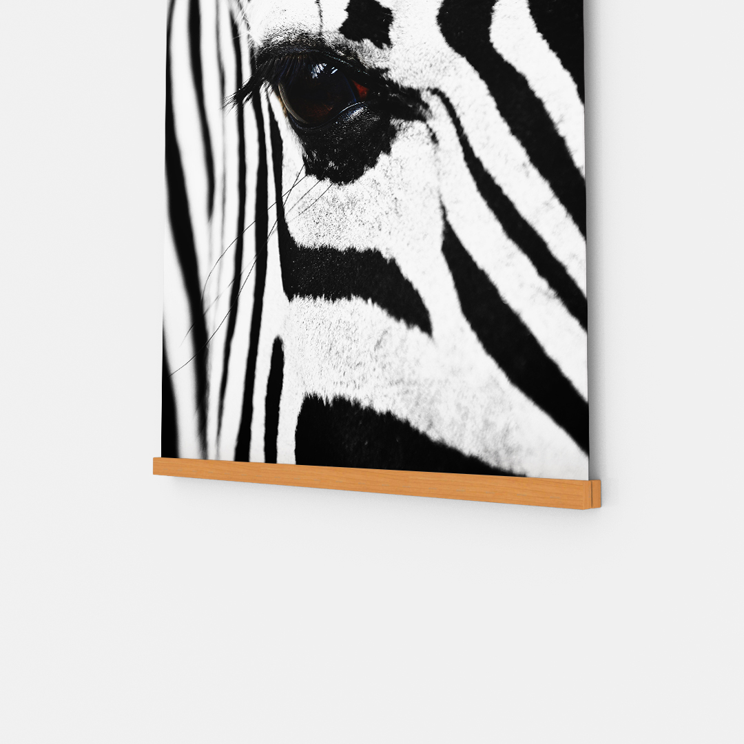 Zebra (3)