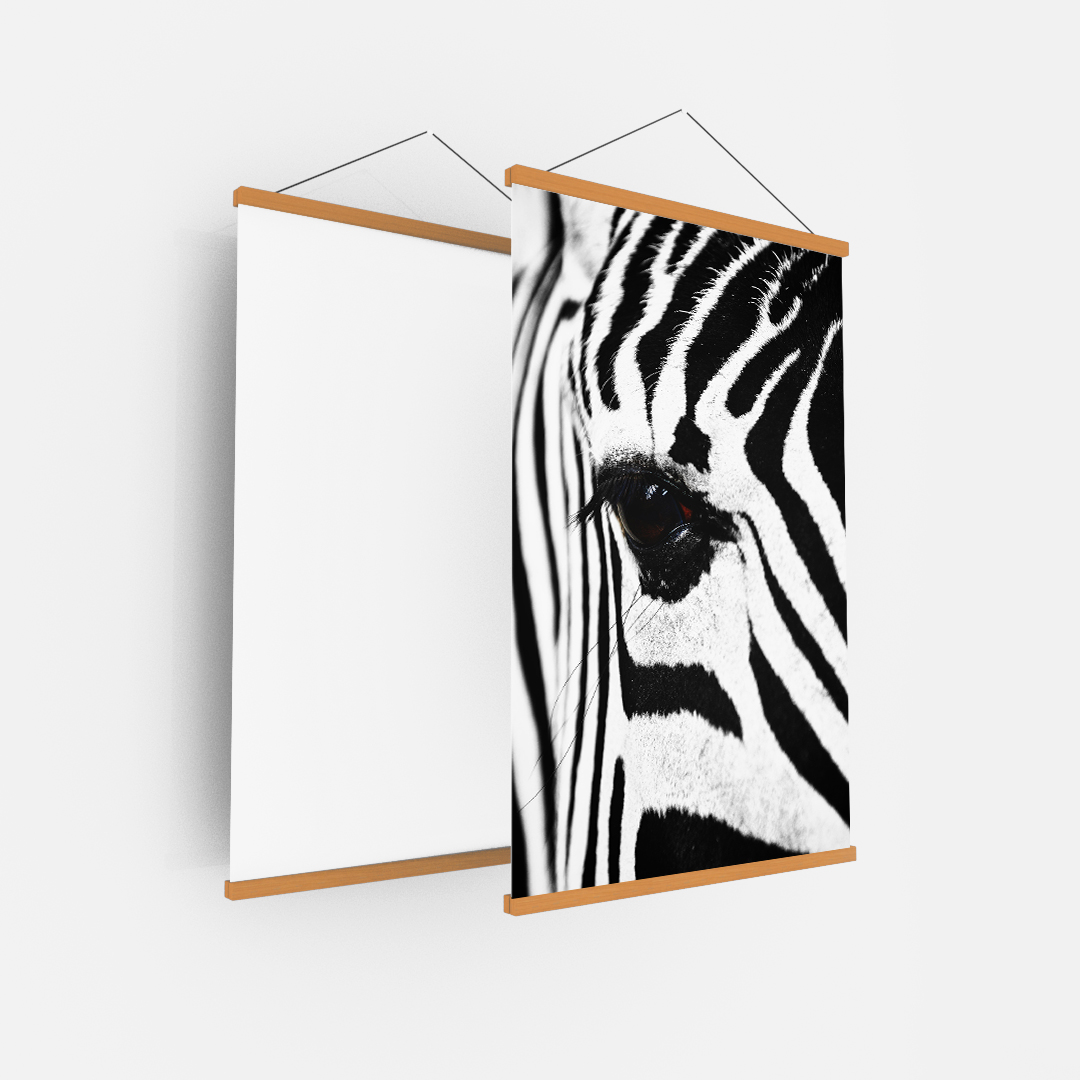Zebra (4)