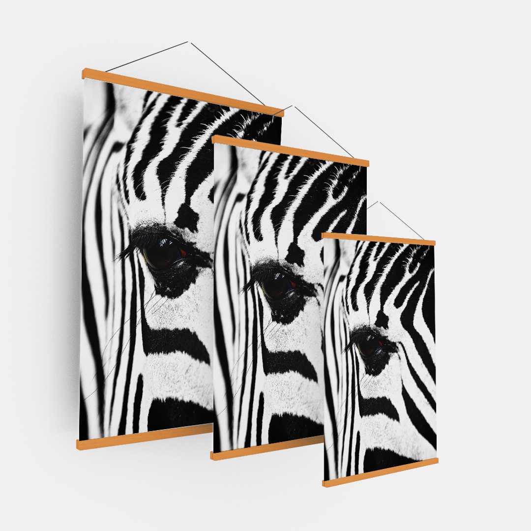 Zebra (5)