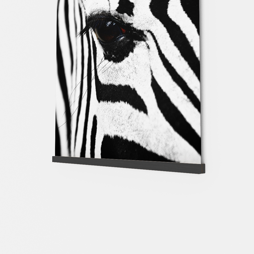 Zebra (7)