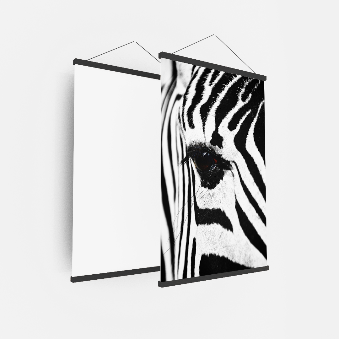Zebra (8)